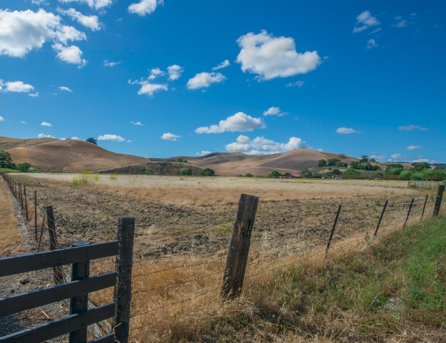 Where Does Guy Fieri Live? - Huliq