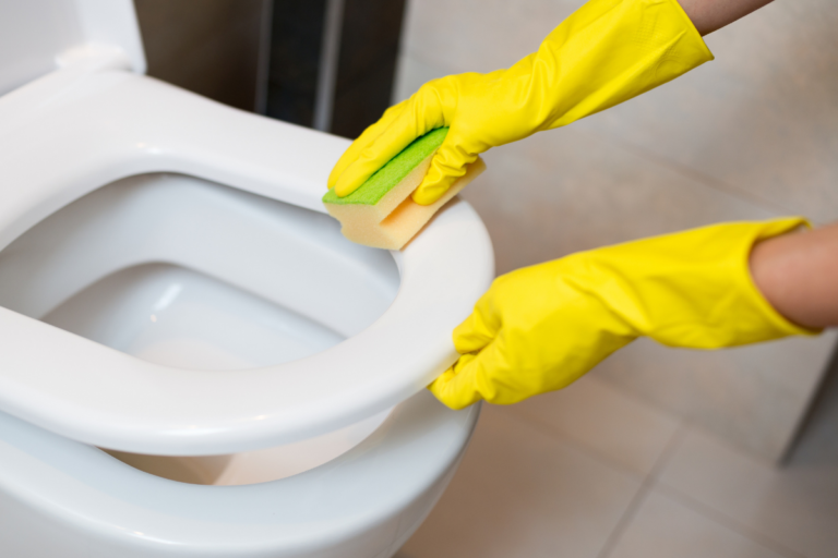 How To Clean Toilet Seat Stains Quick And Effective Methods Huliq