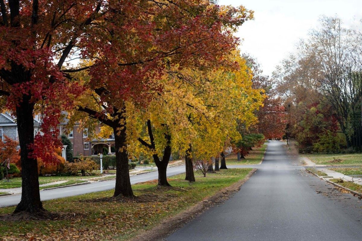 a street in the suburbs