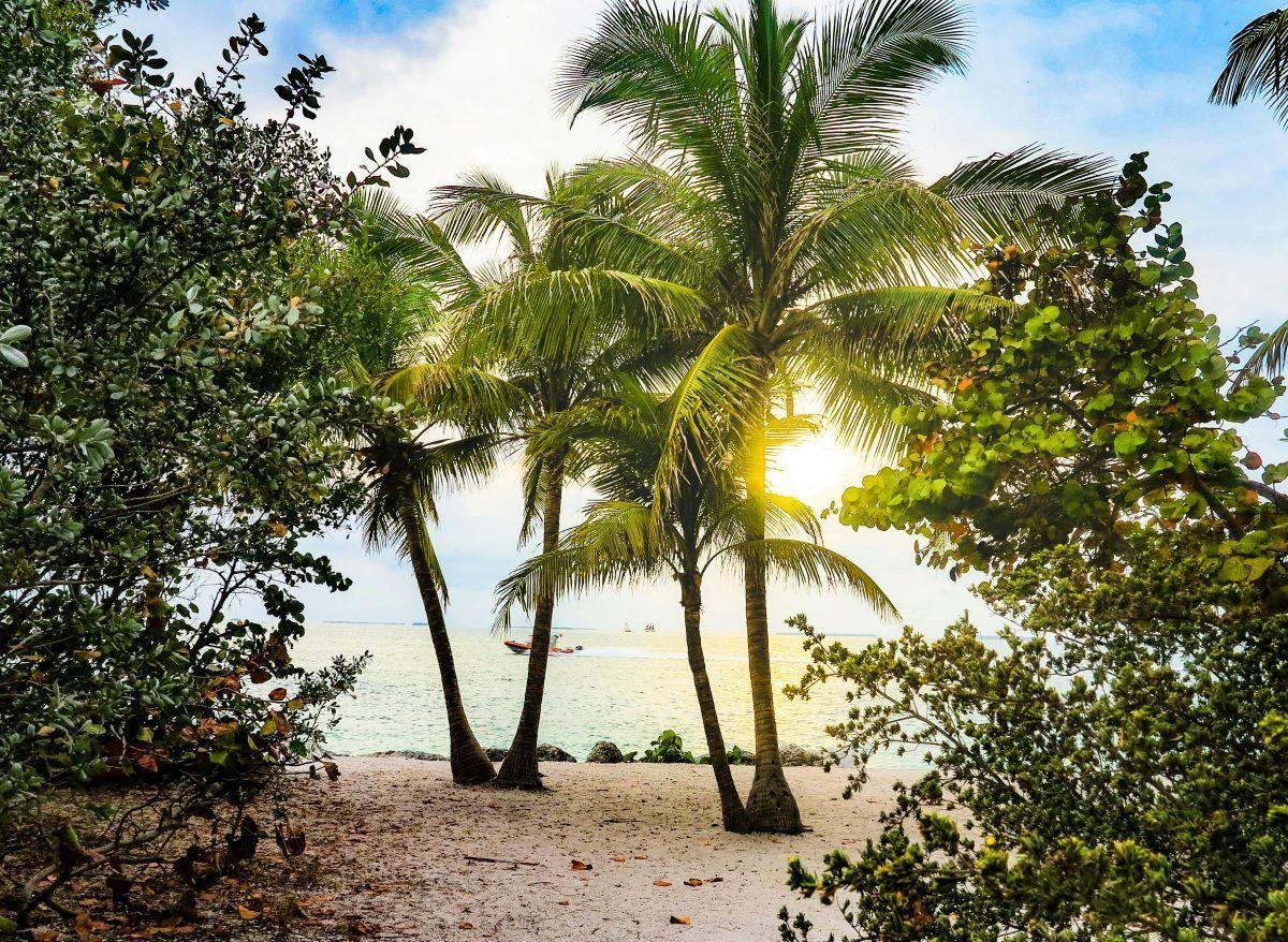 Sunny beach in Florida